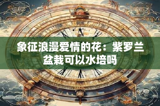 象征浪漫爱情的花：紫罗兰盆栽可以水培吗