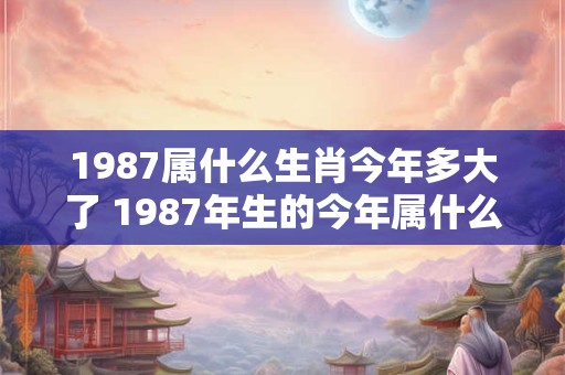 1987属什么生肖今年多大了 1987年生的今年属什么生肖年龄多大
