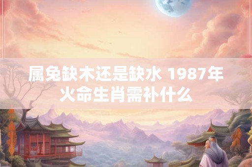 属兔缺木还是缺水 1987年火命生肖需补什么
