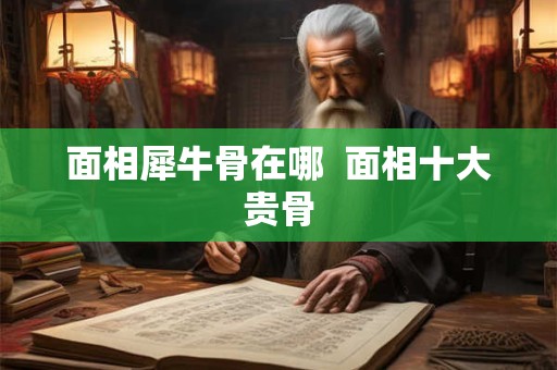 面相犀牛骨在哪  面相十大贵骨