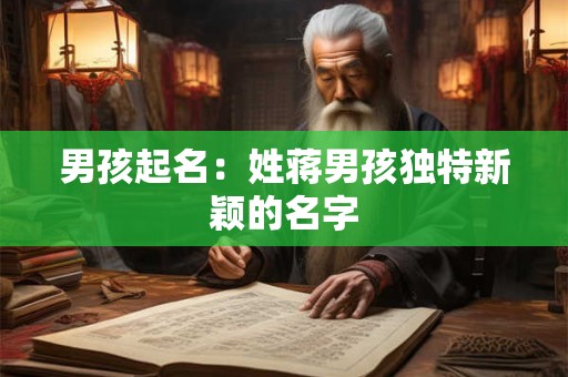 男孩起名：姓蒋男孩独特新颖的名字