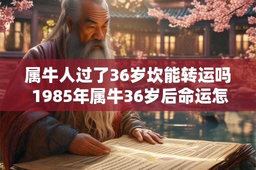 属牛人过了36岁坎能转运吗 1985年属牛36岁后命运怎么样