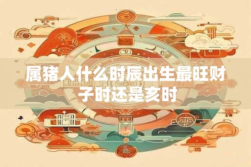 属猪人什么时辰出生最旺财 子时还是亥时