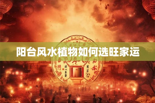 阳台风水植物如何选旺家运
