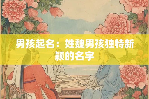 男孩起名：姓魏男孩独特新颖的名字