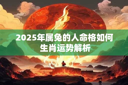 2025年属兔的人命格如何 生肖运势解析