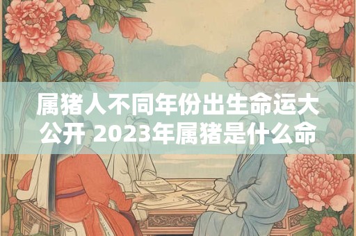 属猪人不同年份出生命运大公开 2023年属猪是什么命