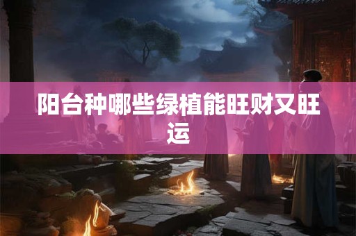 阳台种哪些绿植能旺财又旺运