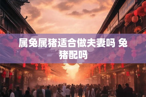 属兔属猪适合做夫妻吗 兔猪配吗