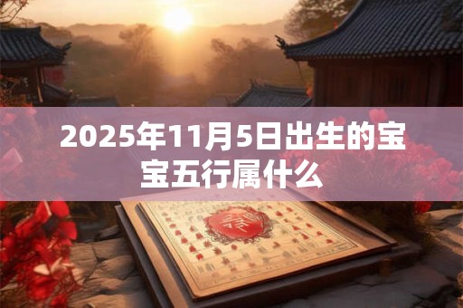 2025年11月5日出生的宝宝五行属什么