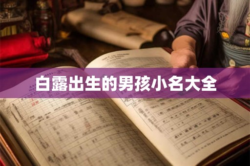 白露出生的男孩小名大全