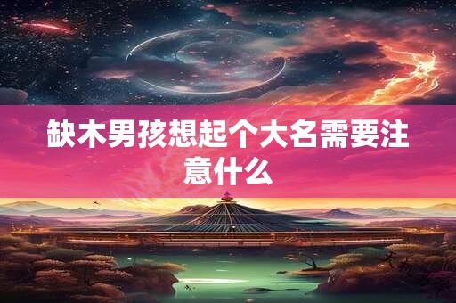 缺木男孩想起个大名需要注意什么