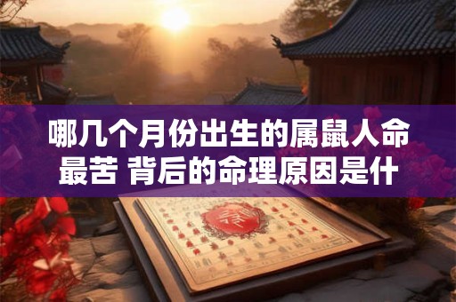 哪几个月份出生的属鼠人命最苦 背后的命理原因是什么