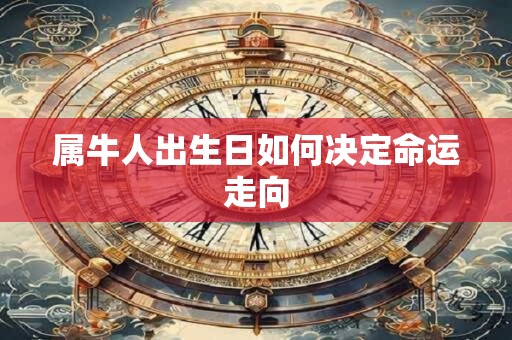 属牛人出生日如何决定命运走向