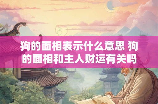 狗的面相表示什么意思 狗的面相和主人财运有关吗