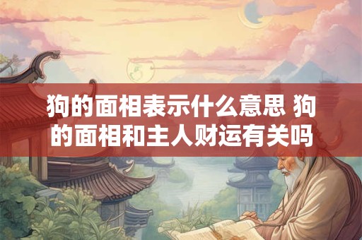 狗的面相表示什么意思 狗的面相和主人财运有关吗