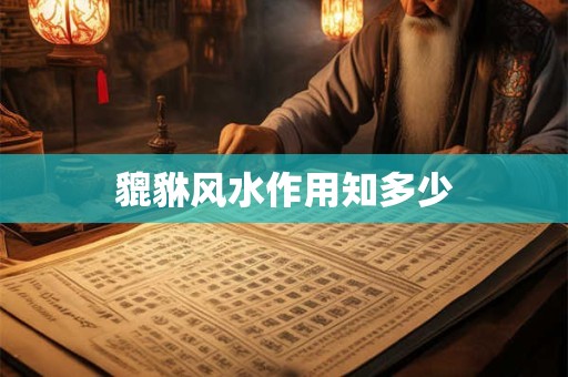 貔貅风水作用知多少