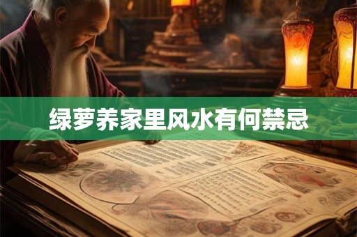 绿萝养家里风水有何禁忌