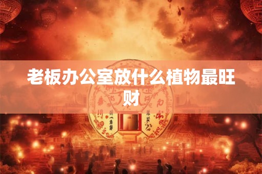 老板办公室放什么植物最旺财