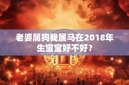 老婆属狗我属马在2018年生宝宝好不好？