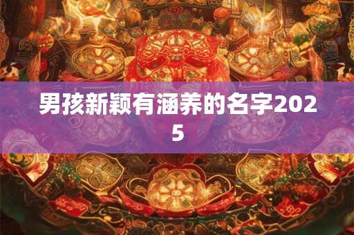 男孩新颖有涵养的名字2025