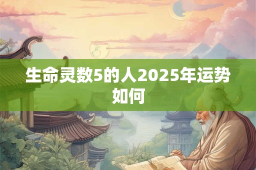 生命灵数5的人2025年运势如何