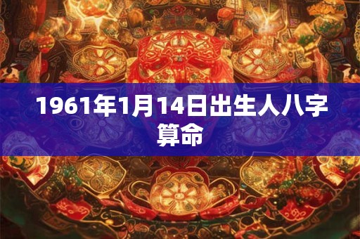 1961年1月14日出生人八字算命