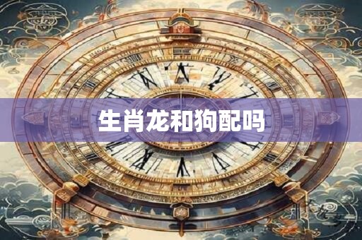 生肖龙和狗配吗