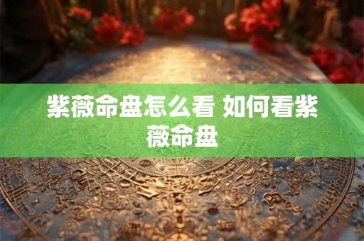 紫薇命盘怎么看 如何看紫薇命盘