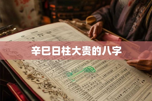 辛巳日柱大贵的八字