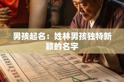 男孩起名：姓林男孩独特新颖的名字