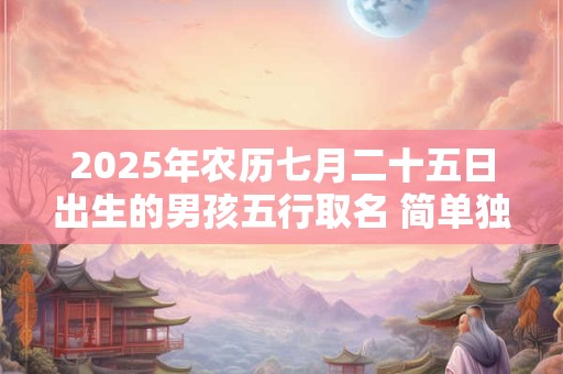 2025年农历七月二十五日出生的男孩五行取名 简单独特的男宝宝名字