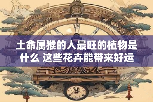土命属猴的人最旺的植物是什么 这些花卉能带来好运吗