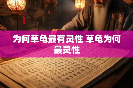为何草龟最有灵性 草龟为何最灵性