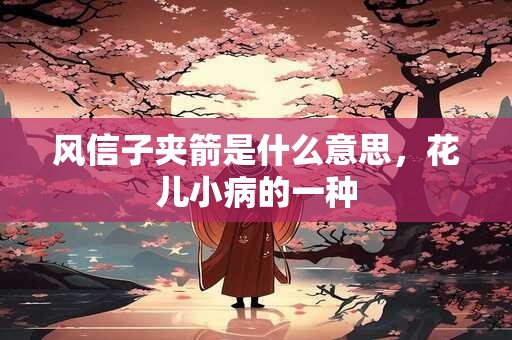 风信子夹箭是什么意思，花儿小病的一种