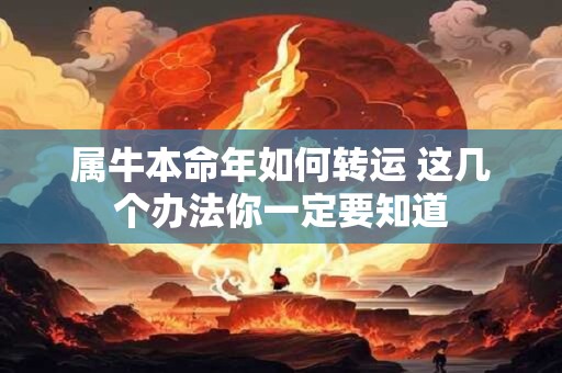 属牛本命年如何转运 这几个办法你一定要知道