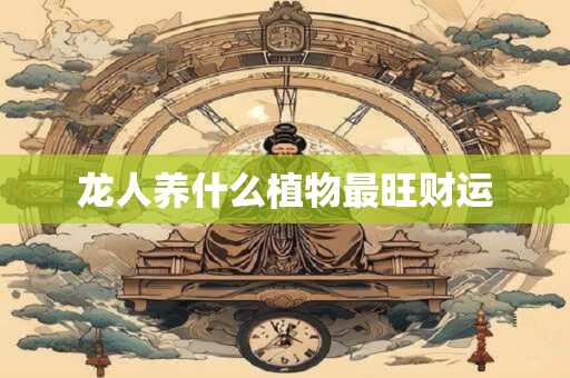 龙人养什么植物最旺财运