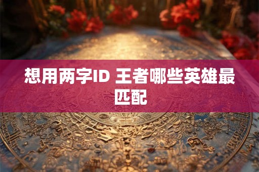 想用两字ID 王者哪些英雄最匹配 想用两字ID 王者哪些英雄最匹配