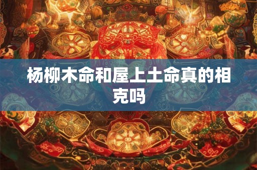 详细阅读:杨柳木命和屋上土命真的相克吗 杨柳木命和屋上土命真的相克吗