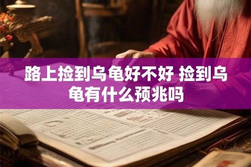 路上捡到乌龟好不好 捡到乌龟有什么预兆吗