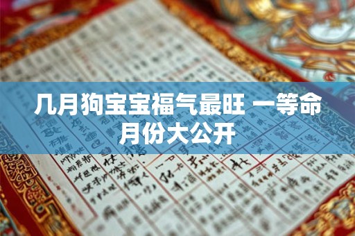 几月狗宝宝福气最旺 一等命月份大公开