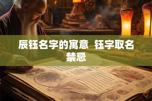 辰钰名字的寓意  钰字取名禁忌