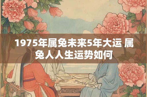 1975年属兔未来5年大运 属兔人人生运势如何
