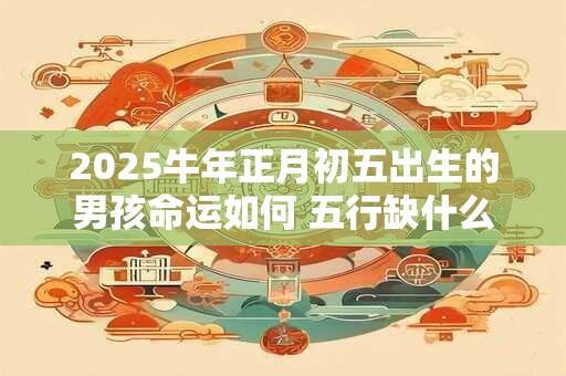 2025牛年正月初五出生的男孩命运如何 五行缺什么