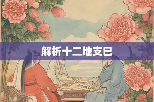 解析十二地支巳