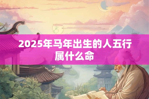 2025年马年出生的人五行属什么命