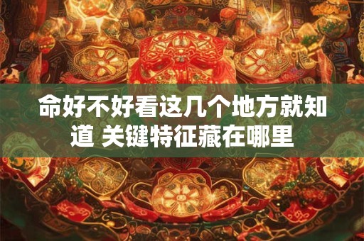 命好不好看这几个地方就知道 关键特征藏在哪里