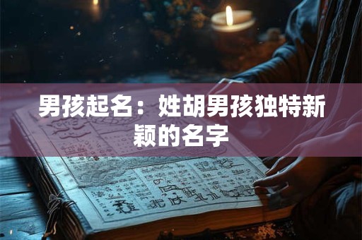 男孩起名：姓胡男孩独特新颖的名字