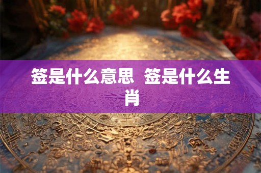 签是什么意思  签是什么生肖