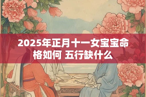 2025年正月十一女宝宝命格如何 五行缺什么